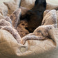 dog bed - Hideaway cave stitch