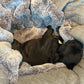 dog bed - Hideaway cave stitch