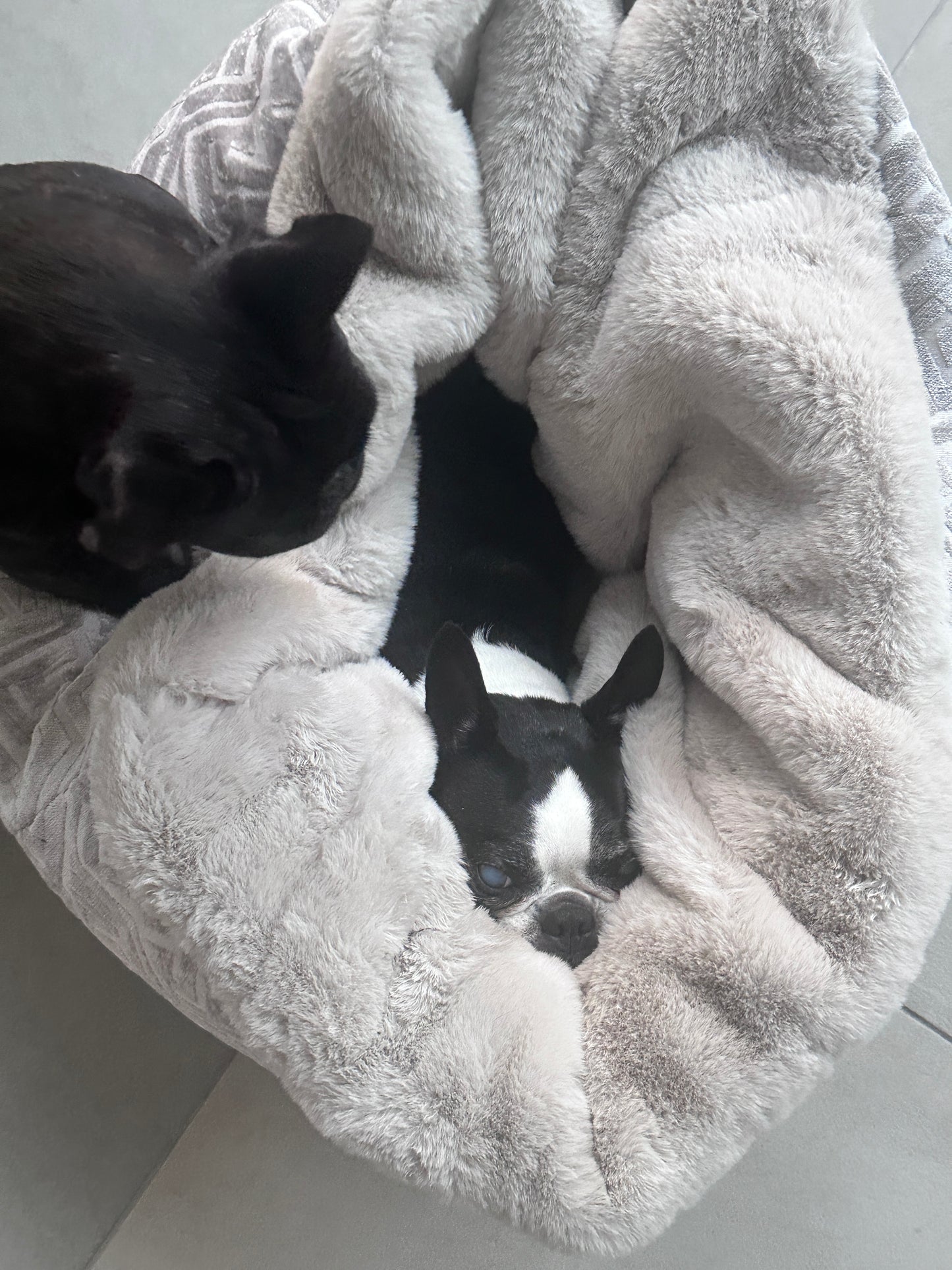 Dog bed Hideaway Cave Ornament