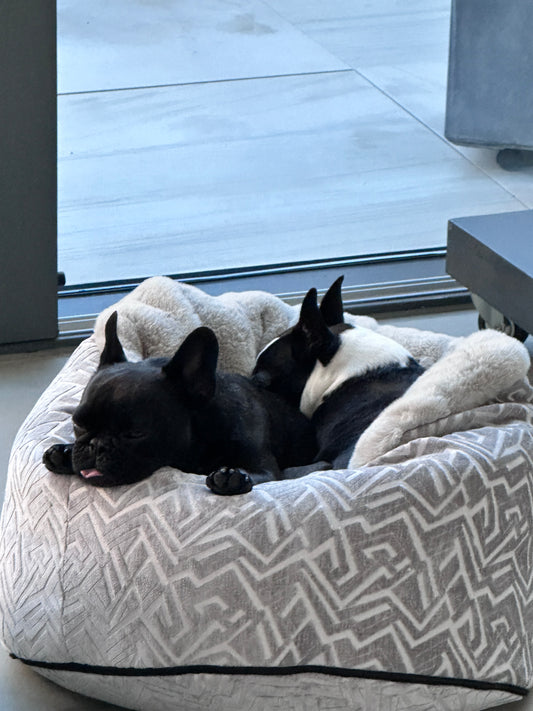 Adorno para cueva de cama para perros Hideaway