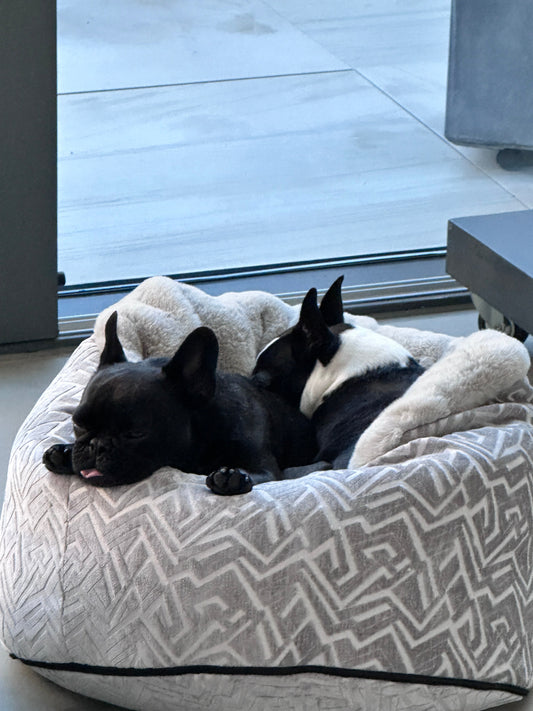 Hundebett Hideaway Ornament