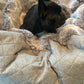 dog bed - Hideaway cave stitch