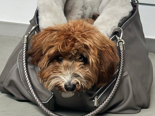 Bolsa de viaje para perros Weekender [[ gris oscuro - mora ]]