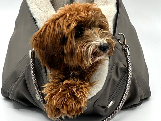 Gift voucher for a Chayas