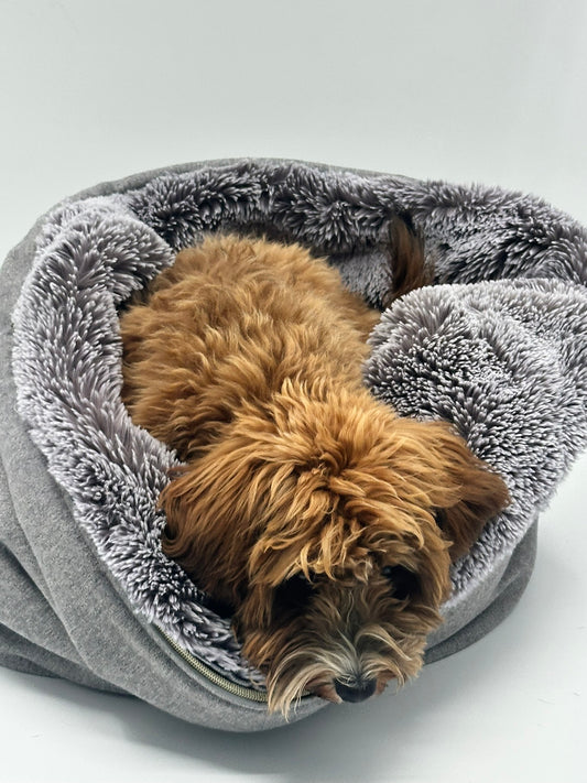 Gift voucher for a Chayas