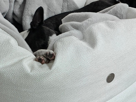 Gift voucher for a Chayas