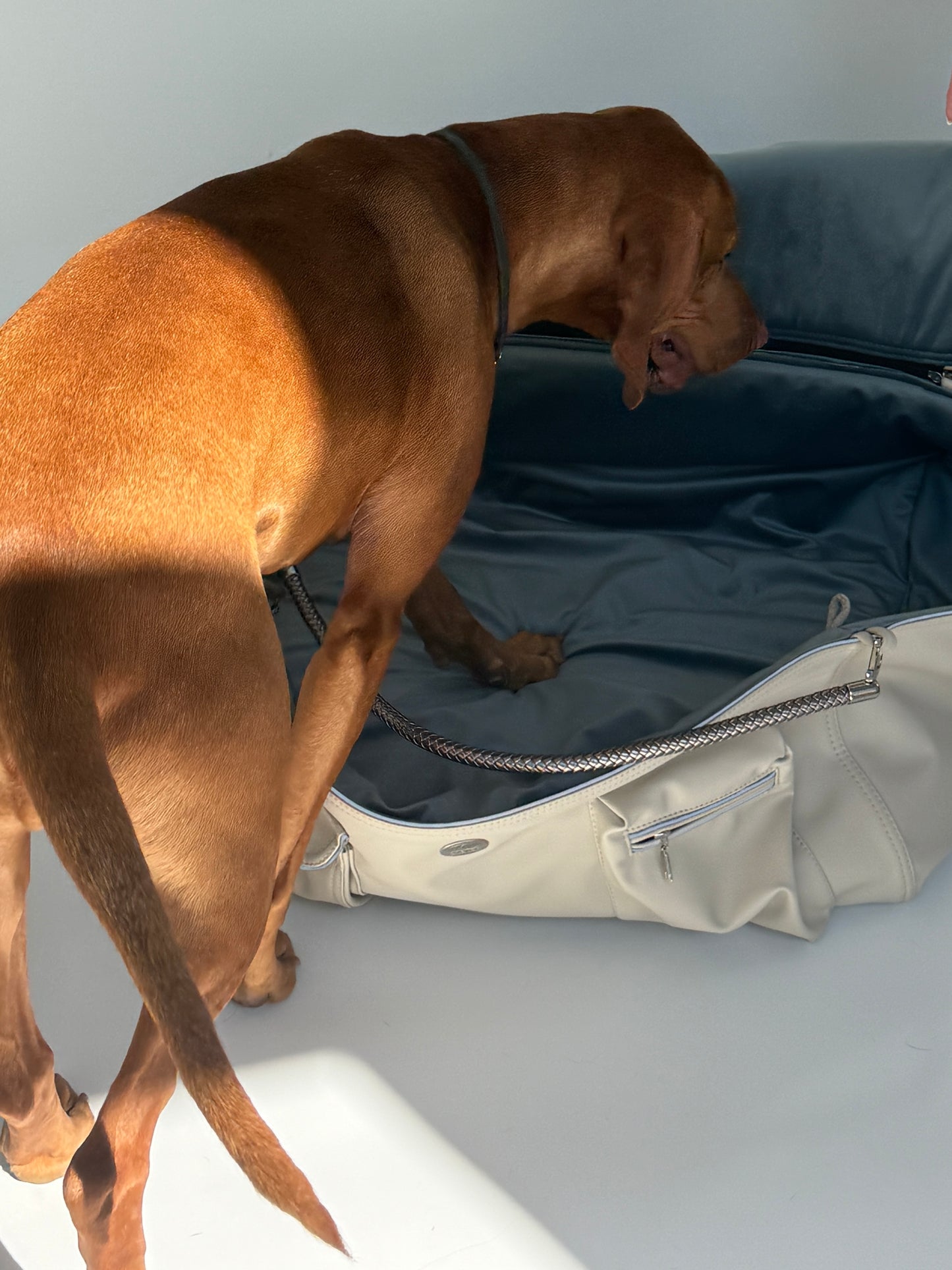 Weekender - ice, iceblue