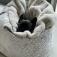 Dog bed Hideaway Cave Ornament
