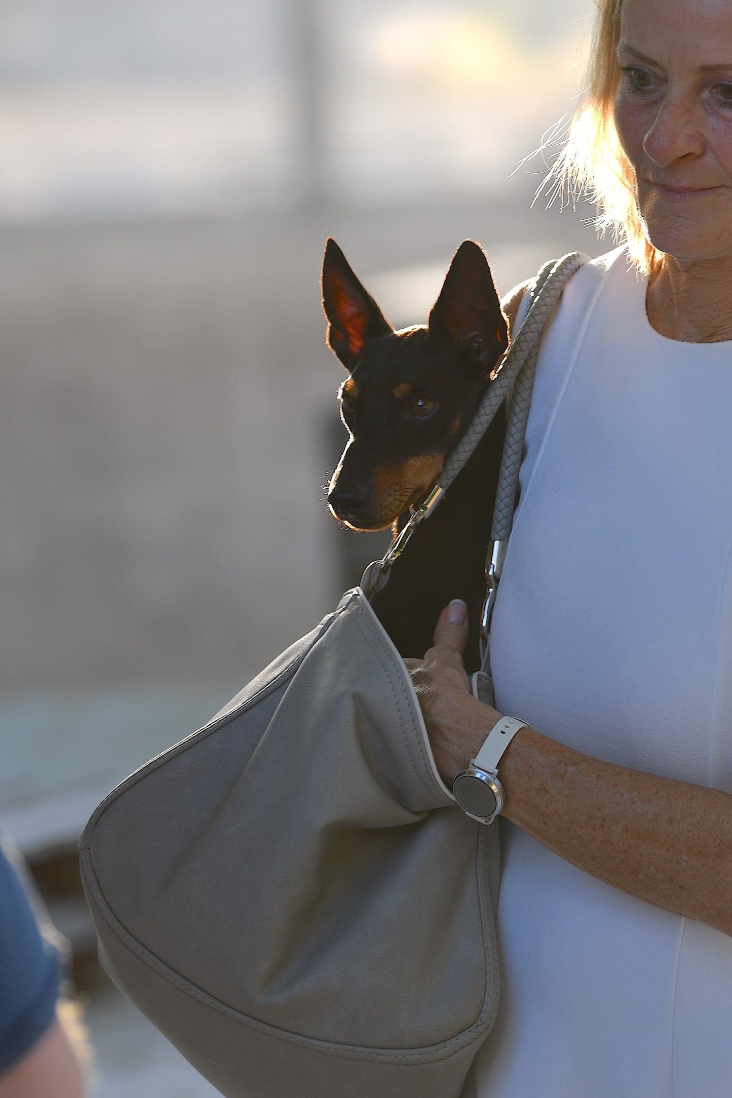 Weekender - Platin grey, dusty rose