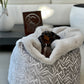 Dog bed Hideaway Cave Ornament