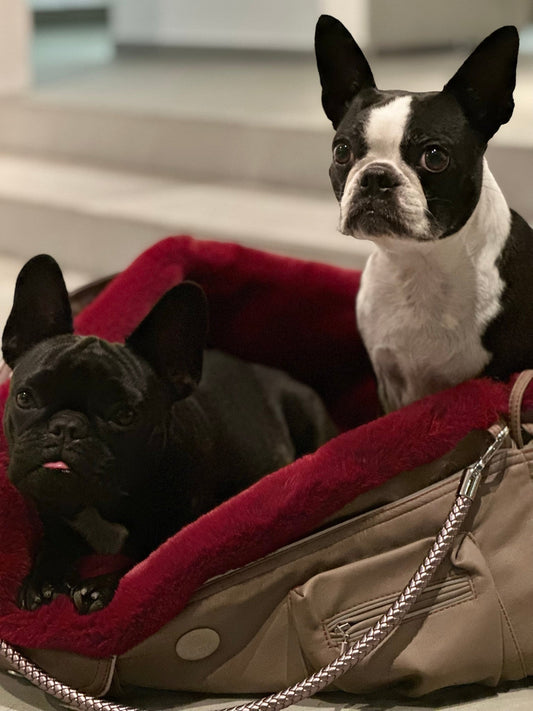 Hundetasche Weekender 4Seasons [[ Farbe: sandy red, Grösse: M ]]